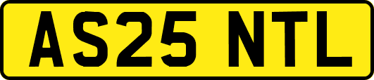 AS25NTL