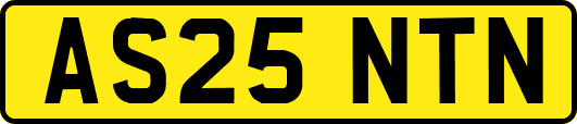 AS25NTN