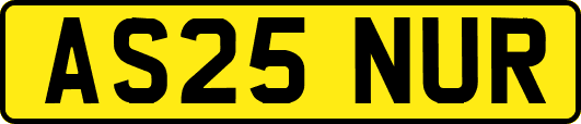 AS25NUR