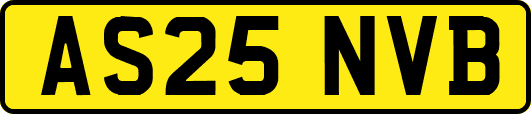 AS25NVB
