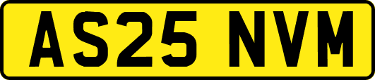 AS25NVM