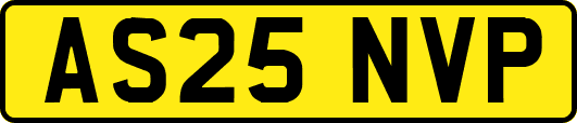 AS25NVP