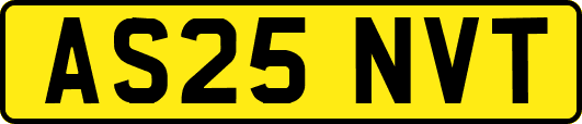 AS25NVT