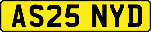 AS25NYD