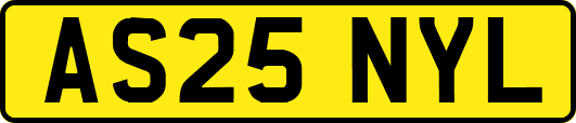 AS25NYL