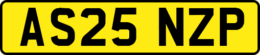 AS25NZP