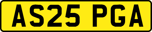 AS25PGA