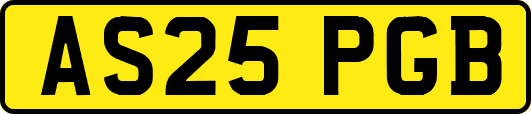 AS25PGB