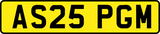 AS25PGM