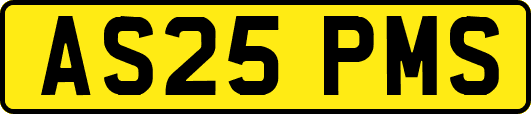 AS25PMS