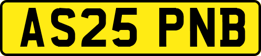 AS25PNB