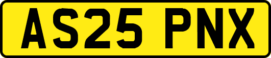 AS25PNX