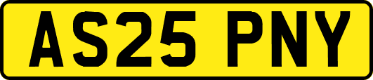 AS25PNY