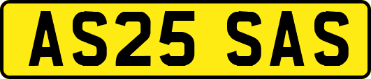 AS25SAS