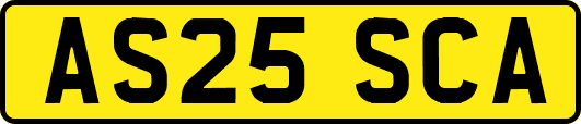 AS25SCA