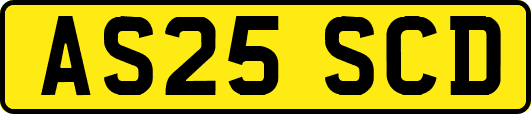 AS25SCD