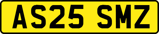 AS25SMZ