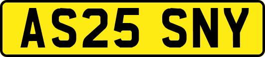 AS25SNY