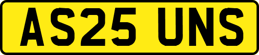 AS25UNS