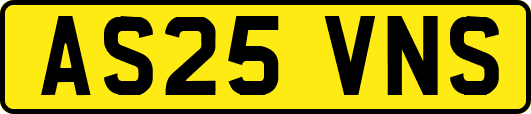AS25VNS