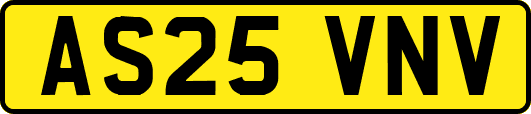 AS25VNV