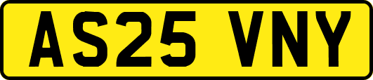 AS25VNY