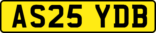 AS25YDB