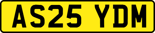 AS25YDM