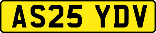AS25YDV