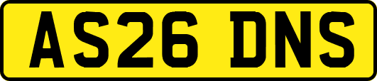AS26DNS