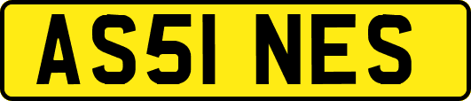 AS51NES