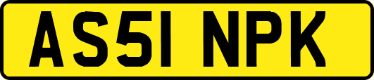 AS51NPK