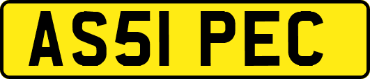 AS51PEC