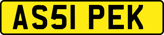 AS51PEK