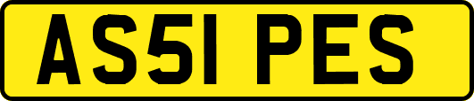 AS51PES