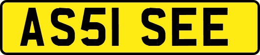 AS51SEE