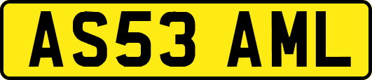 AS53AML