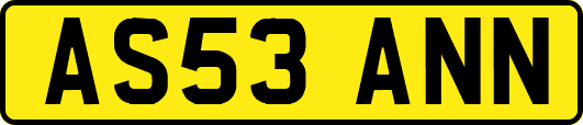 AS53ANN