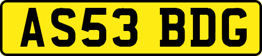 AS53BDG
