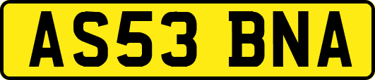 AS53BNA