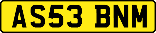 AS53BNM