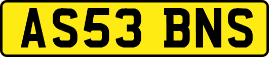 AS53BNS