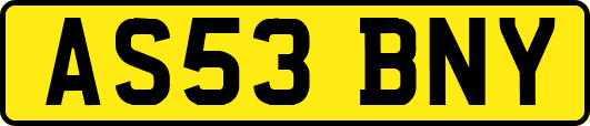AS53BNY
