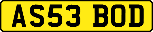 AS53BOD