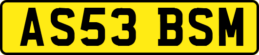 AS53BSM