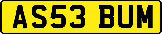 AS53BUM