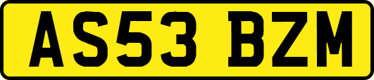 AS53BZM