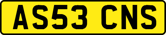 AS53CNS