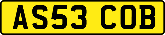 AS53COB