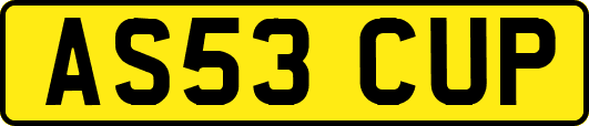 AS53CUP